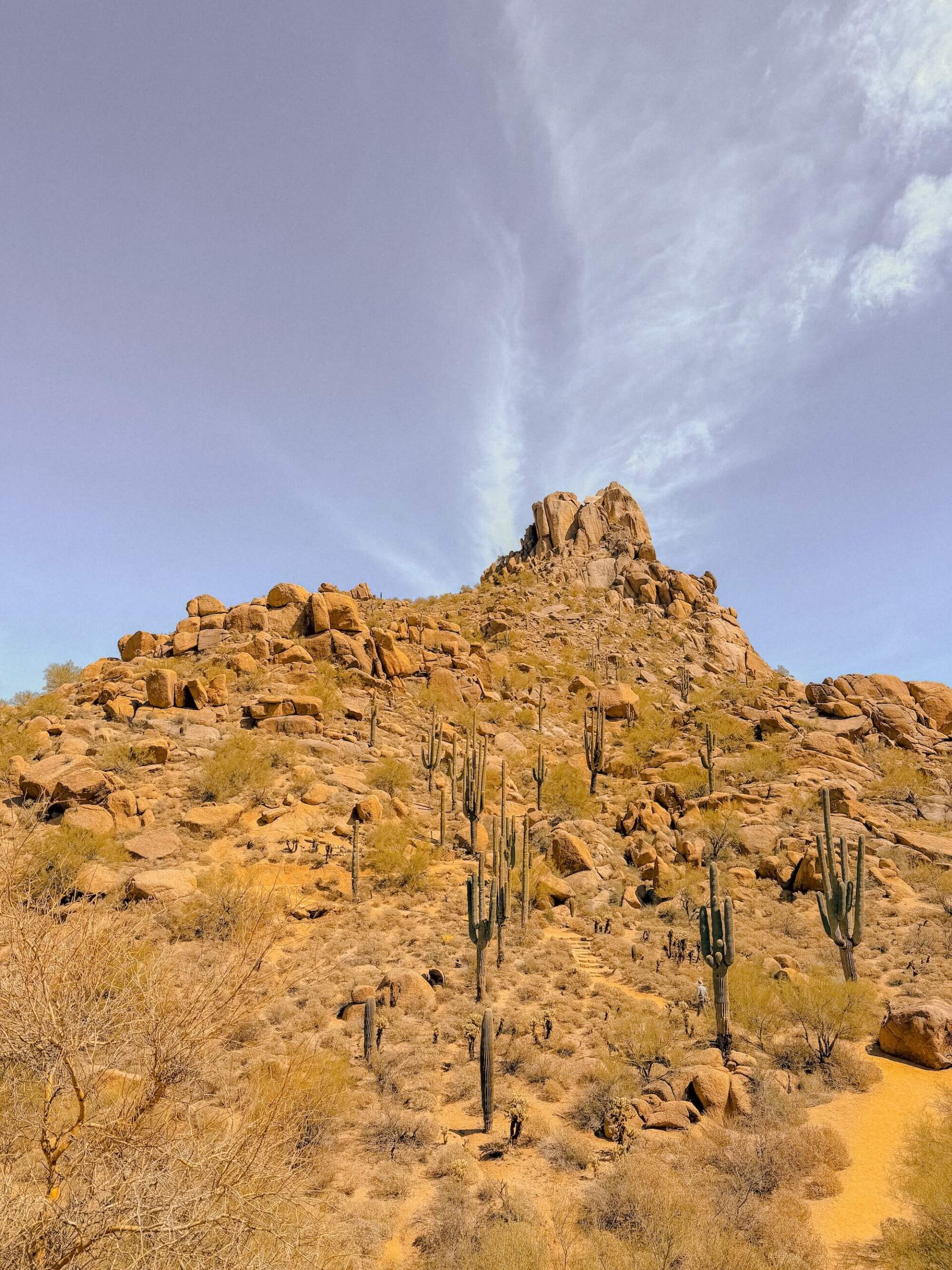 Pinnacle Peak rising above saguaros and the Sonoran Desert in Scottsdale, Arizona