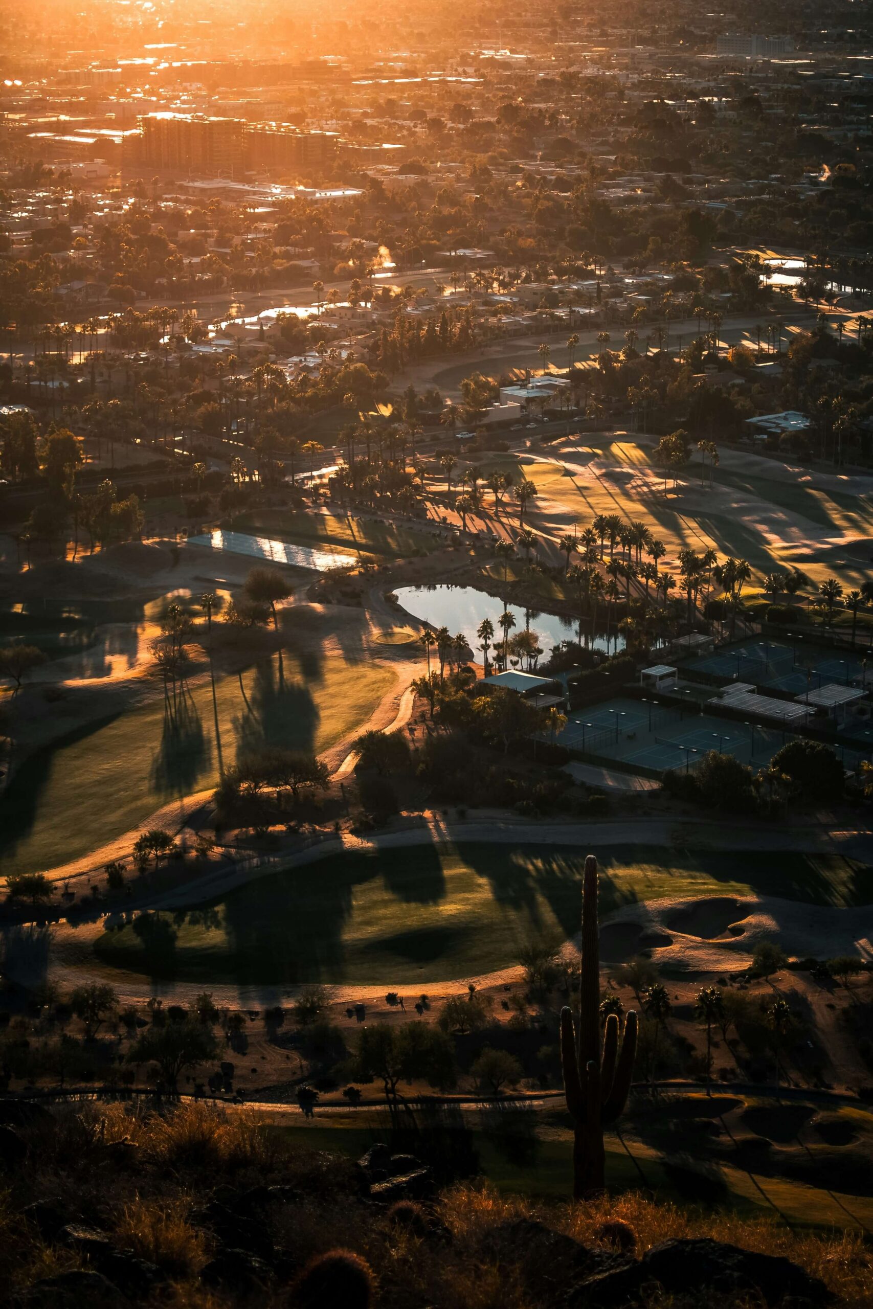 Aerial sunset view over a Scottsdale golf course with palm trees, desert landscaping and city lights beyond.