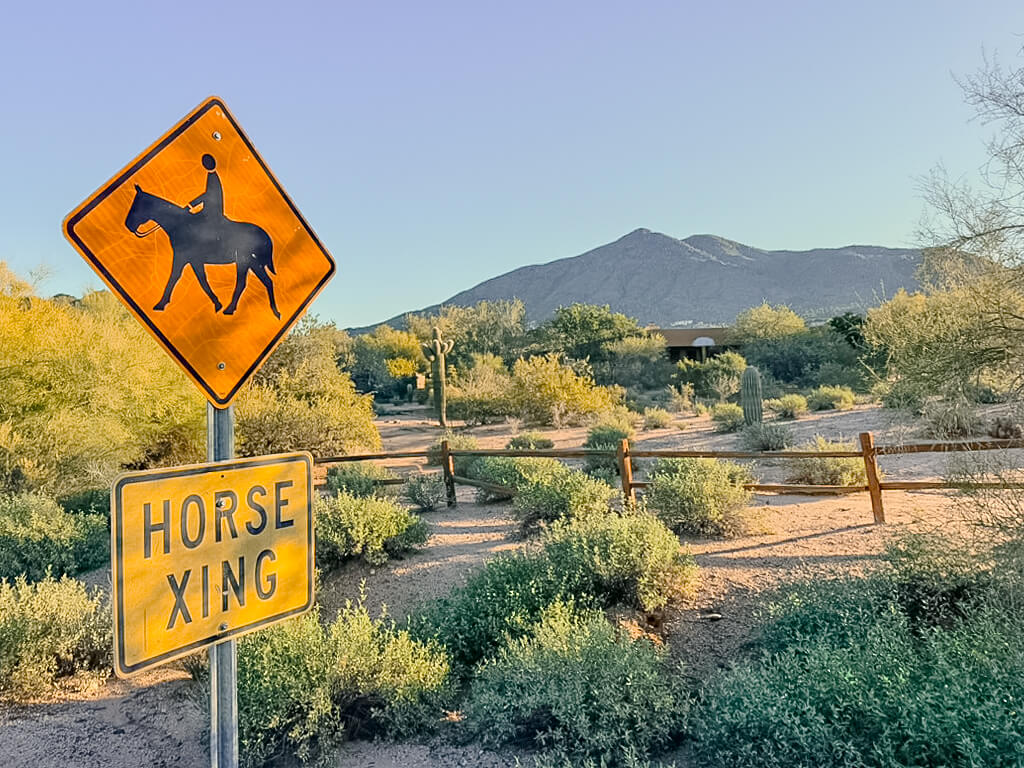 Horse crossing sign along a desert road in Cave Creek, Arizona